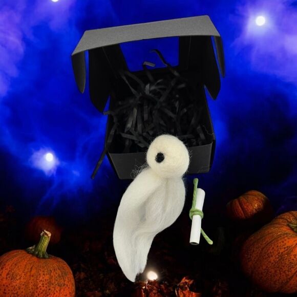 Adopt a Ghost Gift Box Novelty Spooky Halloween Gothic Fun Unique BFF Present - Picture 6 of 8